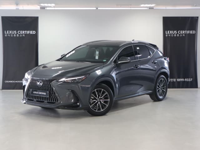 2025 LEXUS NX