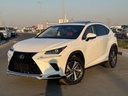 2020 LEXUS NX
