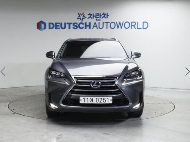 2017 LEXUS NX
