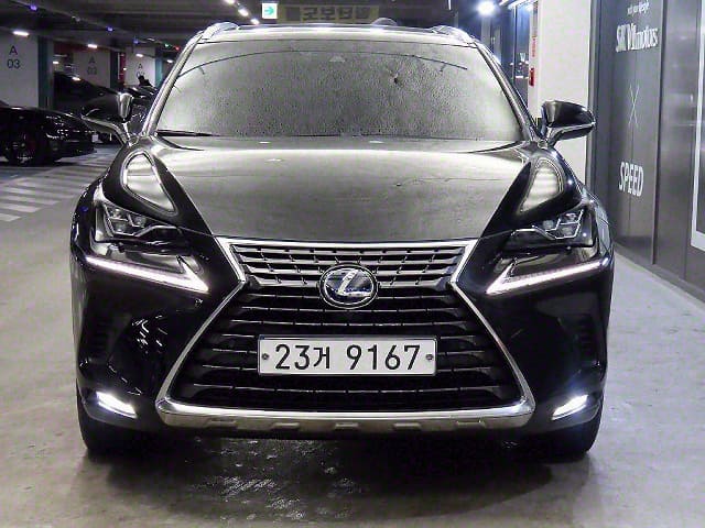 2019 LEXUS NX, 