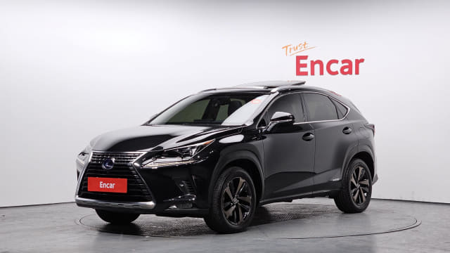 2018 LEXUS NX