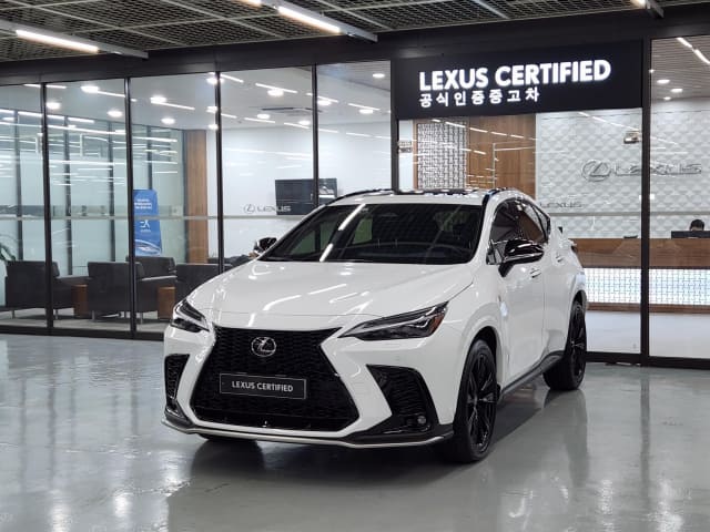 2024 LEXUS NX