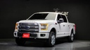 2017 FORD F150