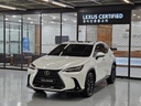 2025 LEXUS NX