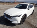 2017 MAZDA CX-8, 