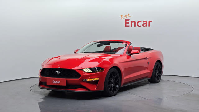2019 FORD Mustang