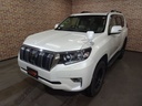 2020 TOYOTA Land Cruiser Prado