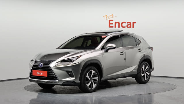 2018 LEXUS NX