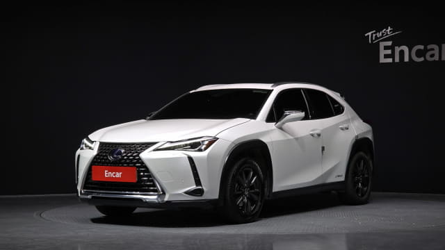 2020 LEXUS UX