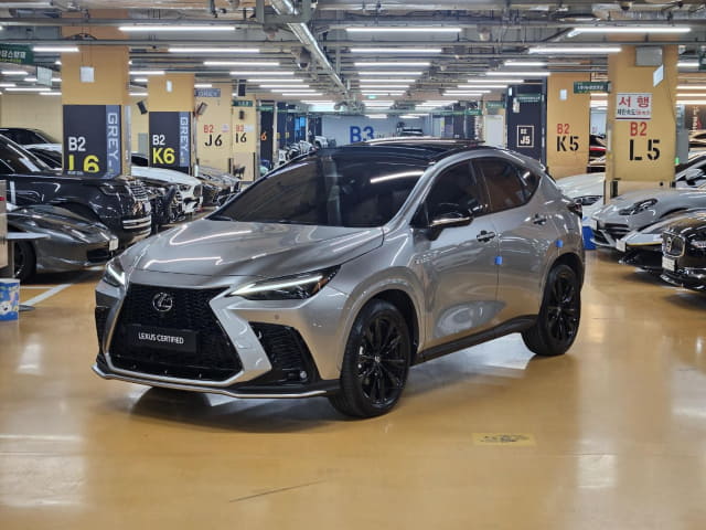 2025 LEXUS NX