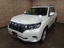 2020 TOYOTA Land Cruiser Prado