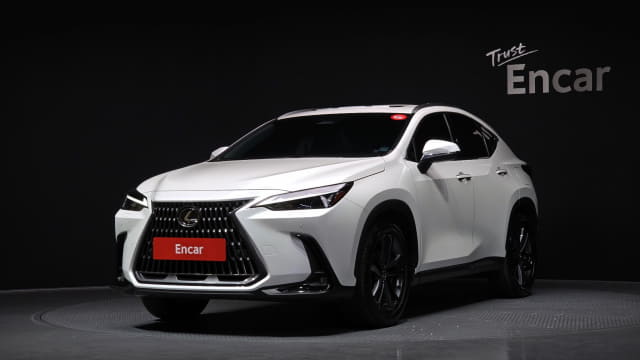 2024 LEXUS NX