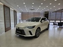 2024 LEXUS RX
