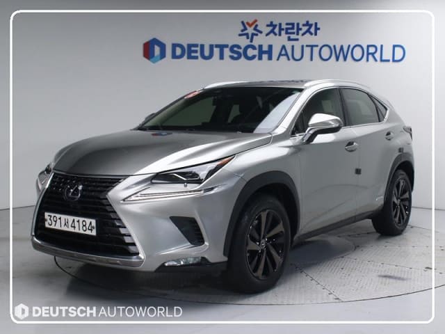2021 LEXUS NX