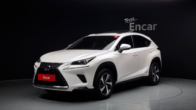 2018 LEXUS NX