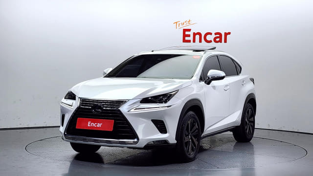 2020 LEXUS NX