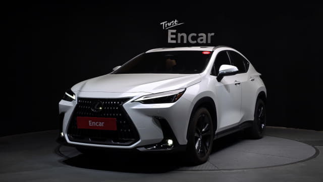 2025 LEXUS NX