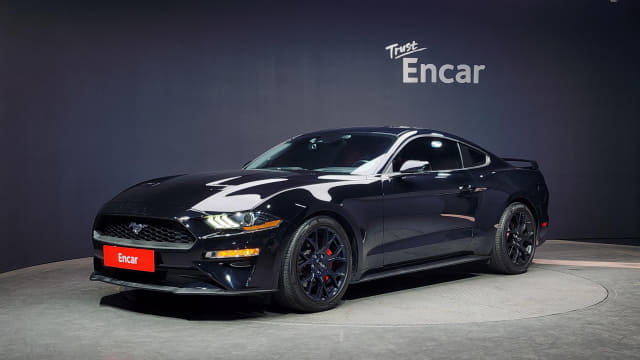 2019 FORD Mustang