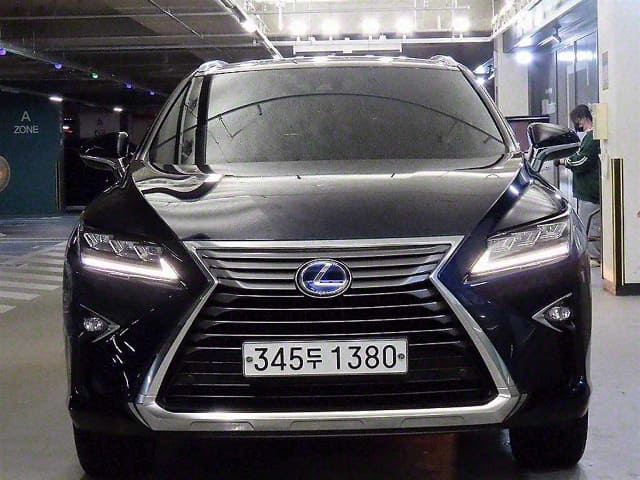 2019 LEXUS RX