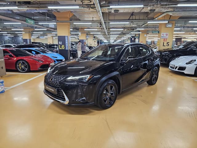 2025 LEXUS UX