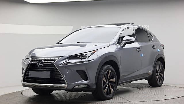2020 LEXUS NX