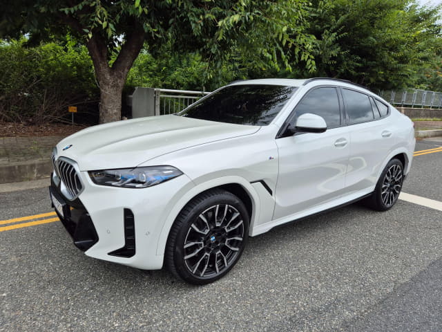 2024 BMW X6, 