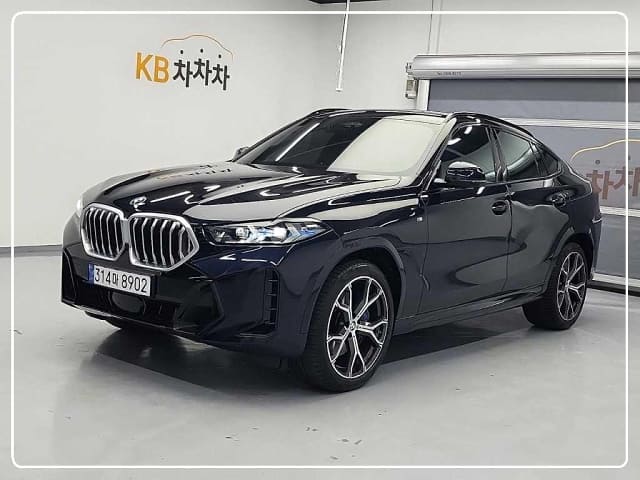 2024 BMW X6
