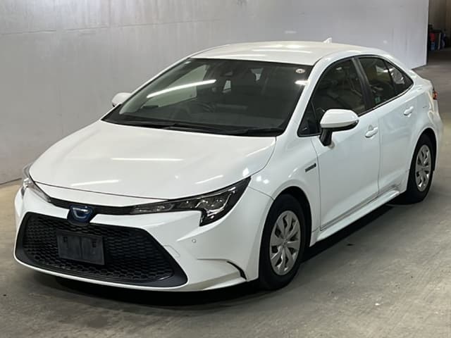 2019 TOYOTA Corolla Sedan