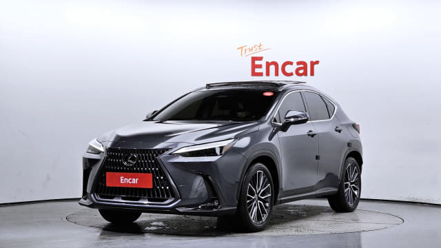 2024 LEXUS NX