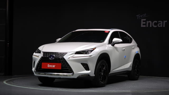 2018 LEXUS NX