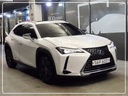 2019 LEXUS UX