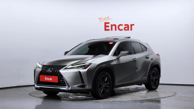 2019 LEXUS UX