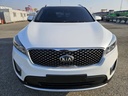 2016 KIA All new sorento