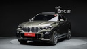 2020 BMW X6, 