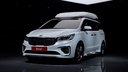 2019 KIA Carnival