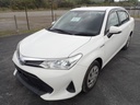 2019 TOYOTA Corolla Axio