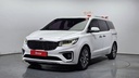 2019 KIA Carnival