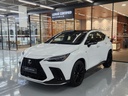 2025 LEXUS NX