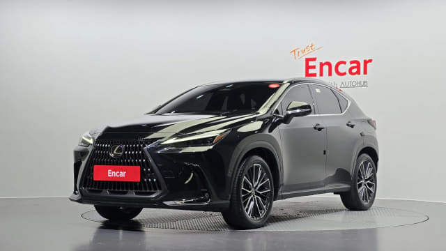 2024 LEXUS NX, 
