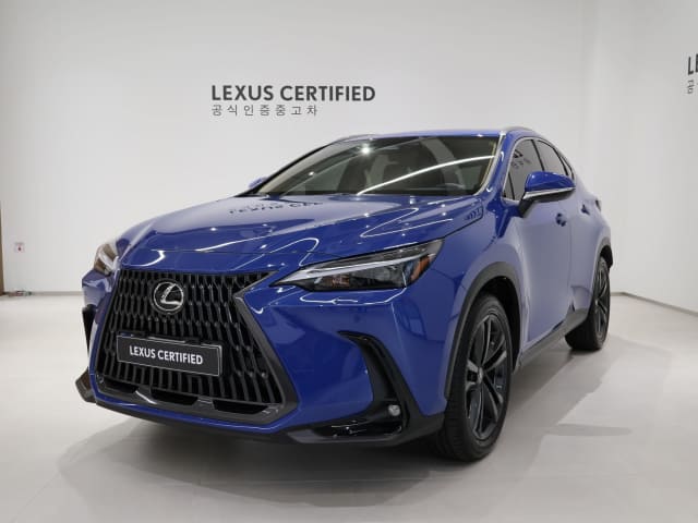 2025 LEXUS NX
