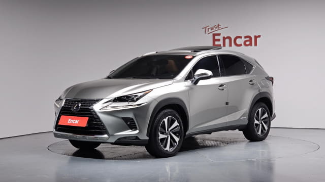 2021 LEXUS NX
