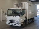 2019 ISUZU Elf Truck