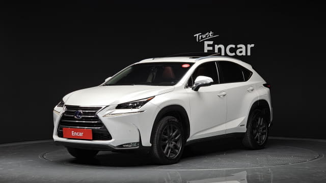 2017 LEXUS NX, 