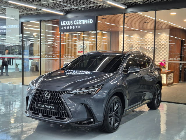 2025 LEXUS NX