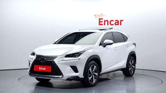 2020 LEXUS NX