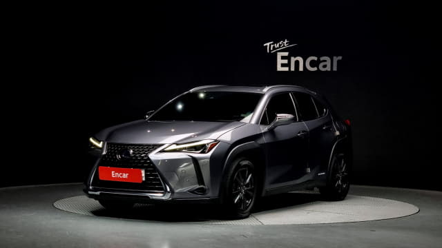 2019 LEXUS UX