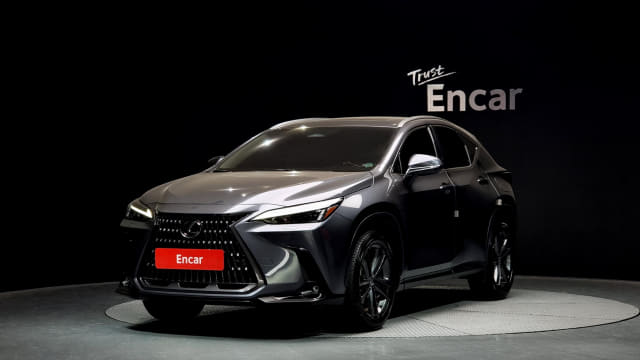 2024 LEXUS NX