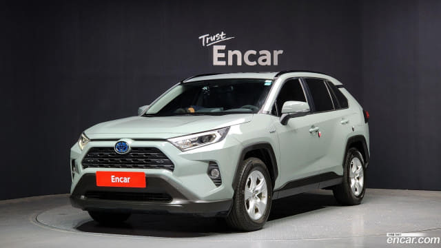 2019 TOYOTA RAV4