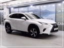 2021 LEXUS NX