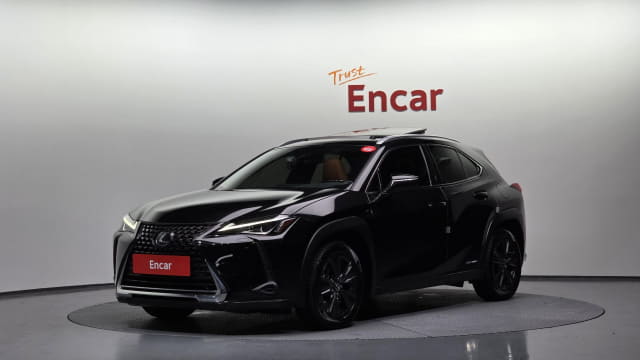 2019 LEXUS UX